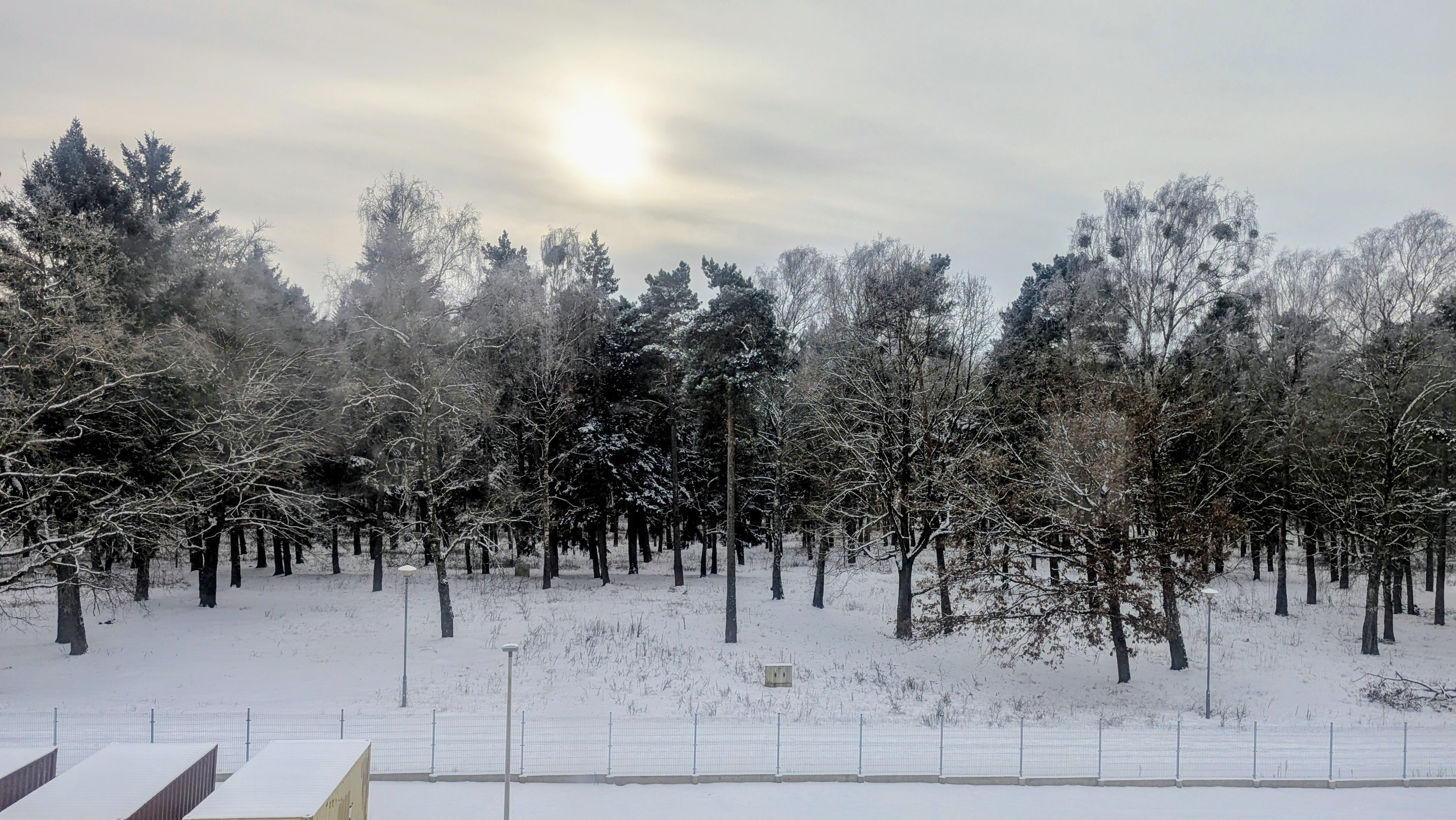Winter portrait in Poland